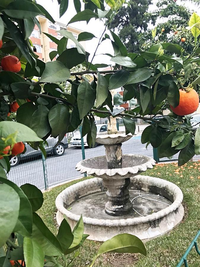 Gifsa Sevilla - Parque Alcosa Εξωτερικό φωτογραφία
